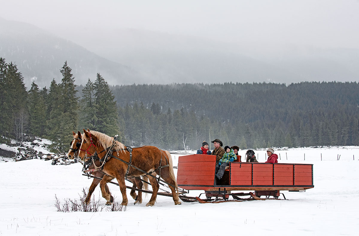 Unleash Your Inner Cowboy: Winter Adventures at 4 Bar S Ranch : Lower ...